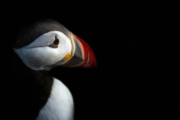 voyage photo islande westfjord as 208651510 promo
