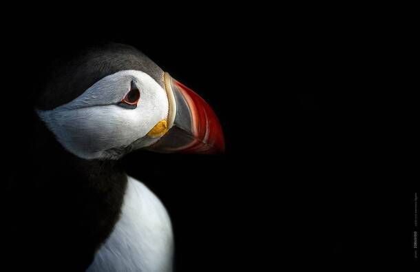 voyage photo islande westfjord as 208651510 promo