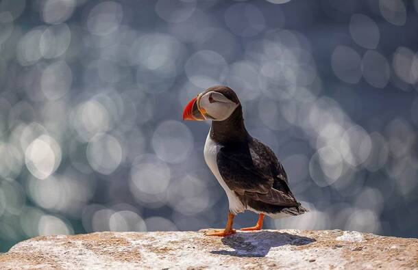 voyage photo islande westfjord as 2161814525 promo 68