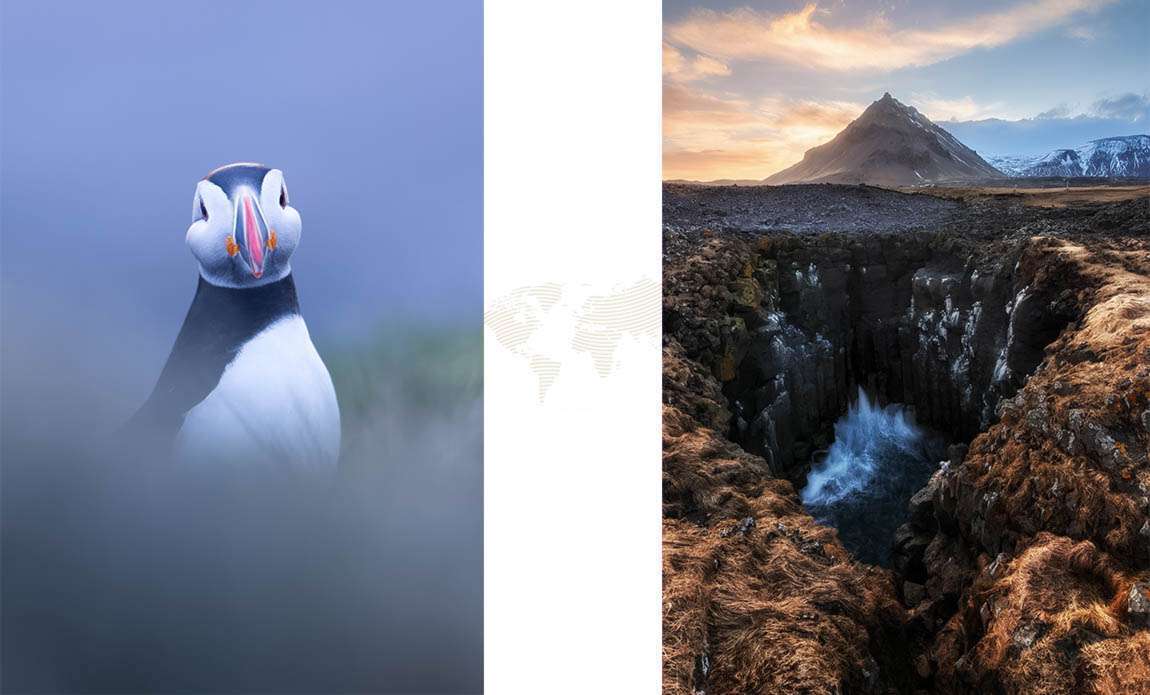 voyage photo islande westjord stanley marie galerie 16