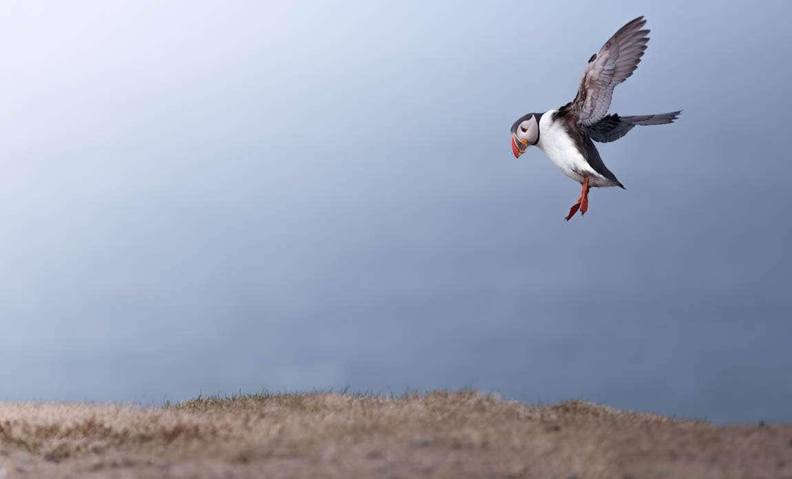 voyage photo islande westjord stanley marie galerie 8
