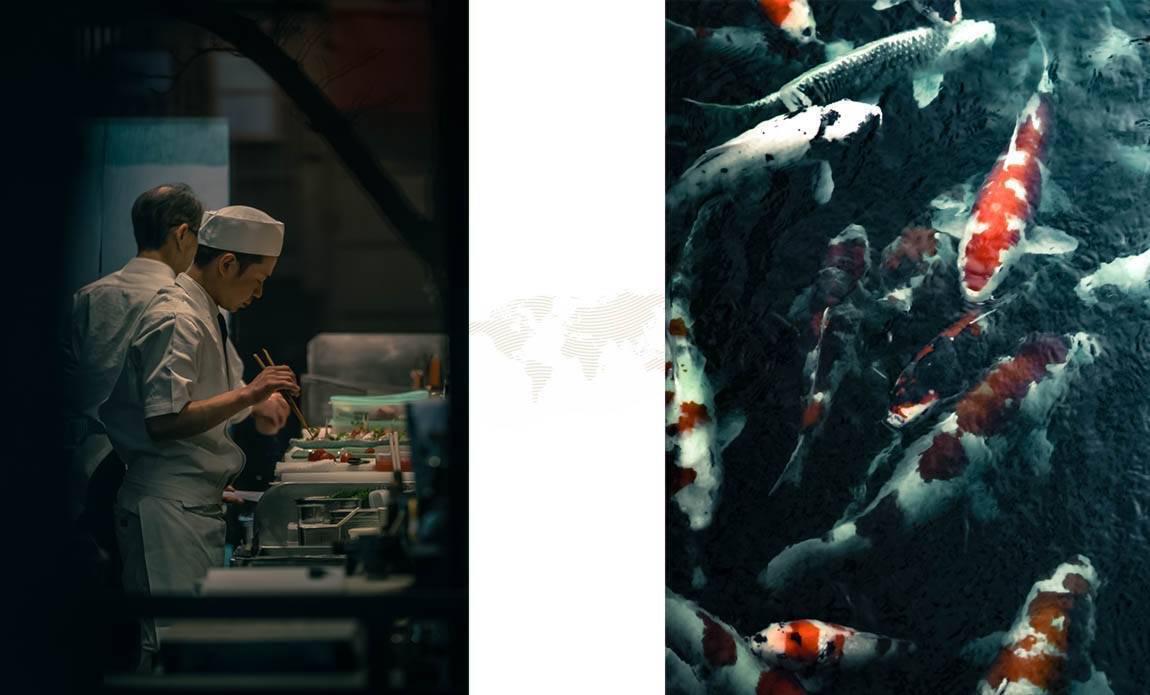 voyage photo japon 2025 edouard salmon galerie 12
