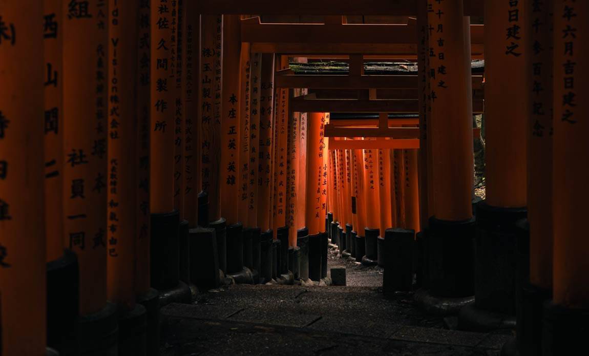 voyage photo japon 2025 edouard salmon galerie 29