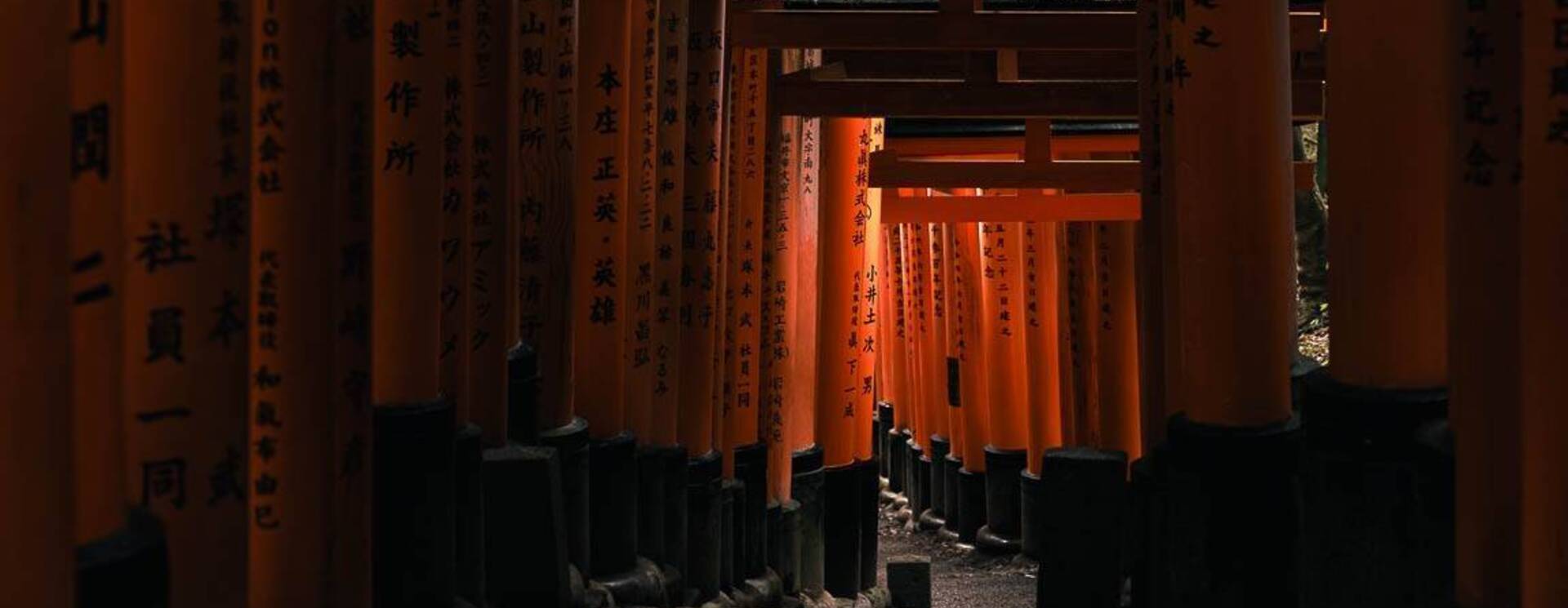 Voyage photo Japon