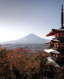 voyage photo japon automne edouard salmon promo