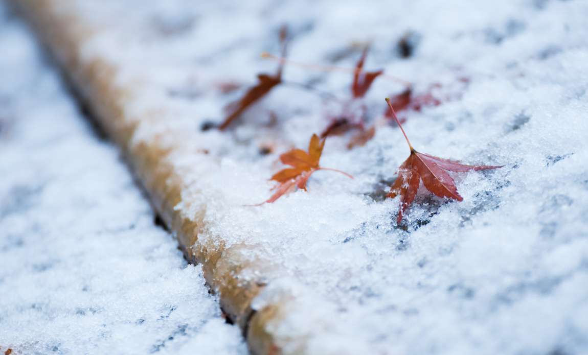 voyage photo japon hiver adobestock 128019556 galerie 7