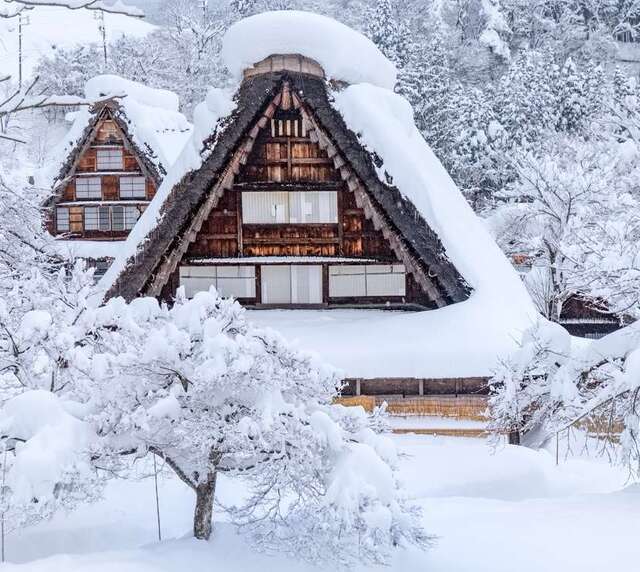 voyage photo japon hiver adobestock 137561993 promo 14