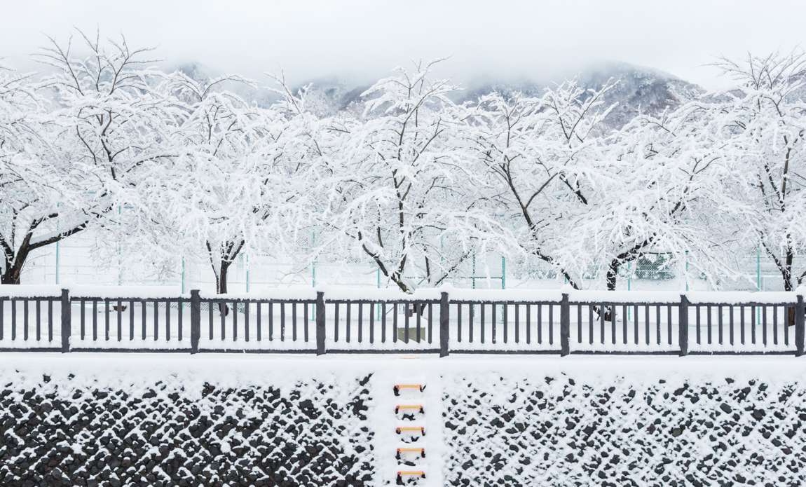 voyage photo japon hiver adobestock 368009073 galerie 45