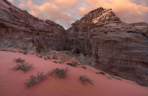 voyage photo jordanie thibaut marot promo 7