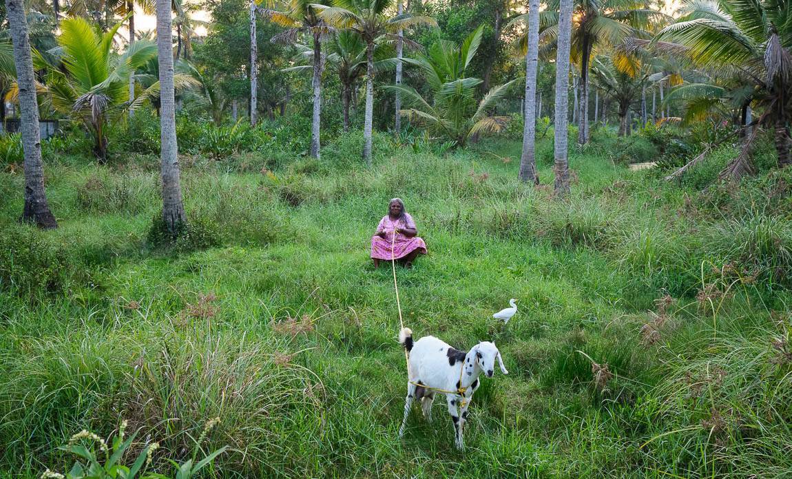 voyage photo kerala nicolas lambert galerie 11