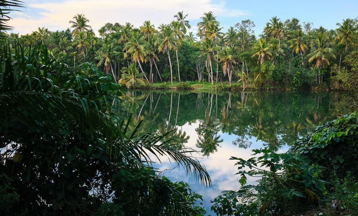 voyage photo kerala nicolas lambert galerie 4