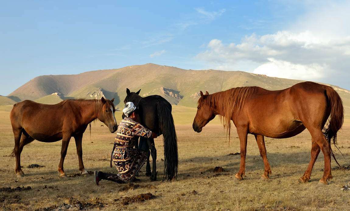 voyage photo kirghistan 332579440 galerie 19