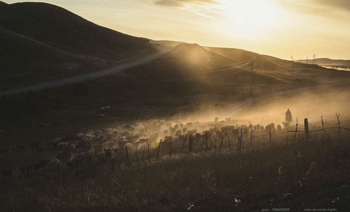 voyage photo kirghistan 768600055 galerie 29