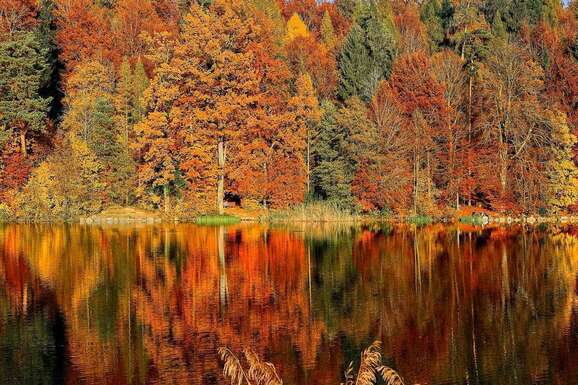 voyage photo laponie