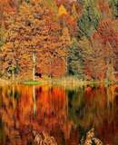 voyage photo laponie ruska