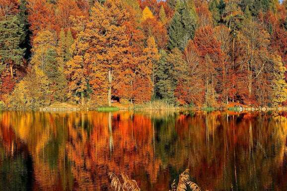 voyage photo laponie ruska