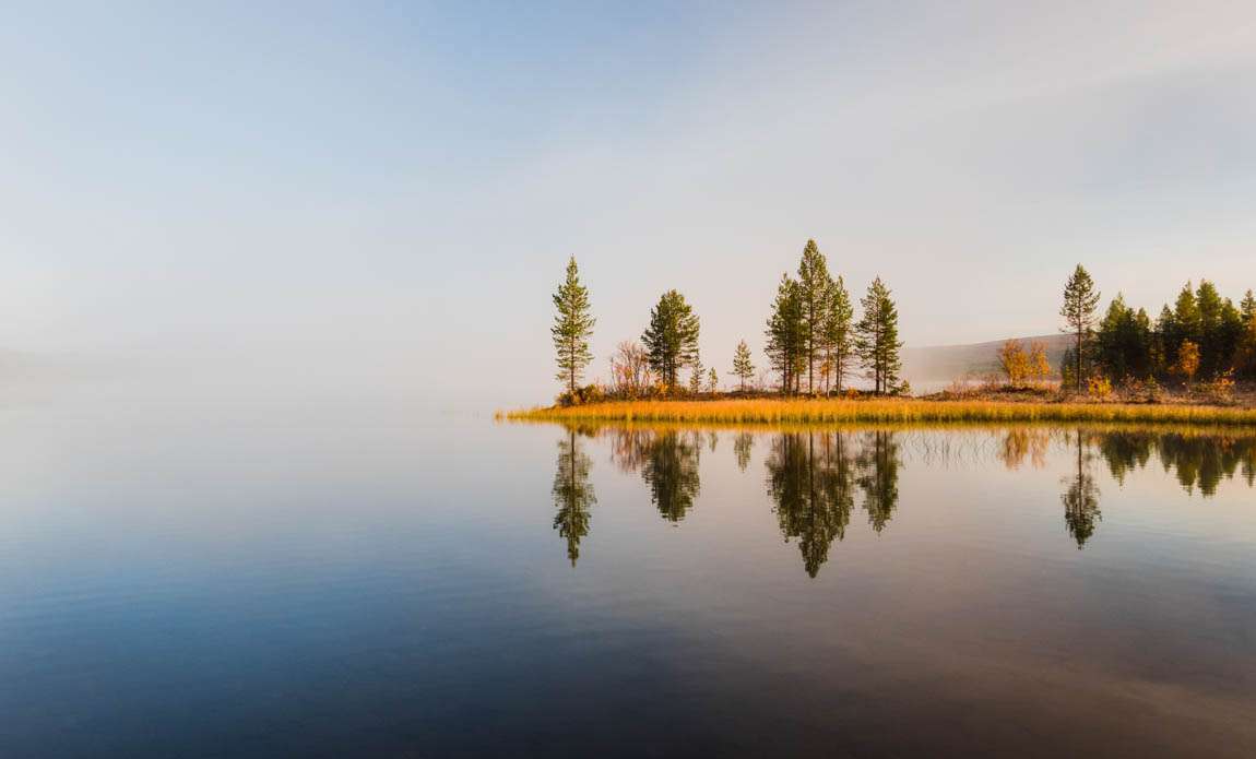 voyage photo laponie ruska adobestock 1040604664 galerie 39