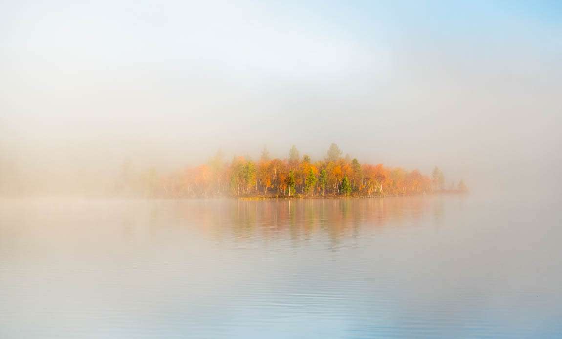 voyage photo laponie ruska adobestock 1040606263 galerie 40
