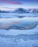 voyage photo lofoten