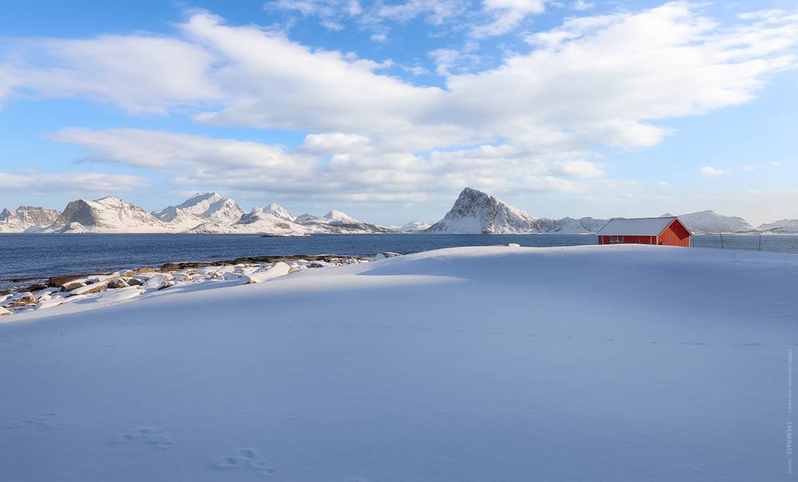 voyage photo lofoten as 559038562 galerie 16