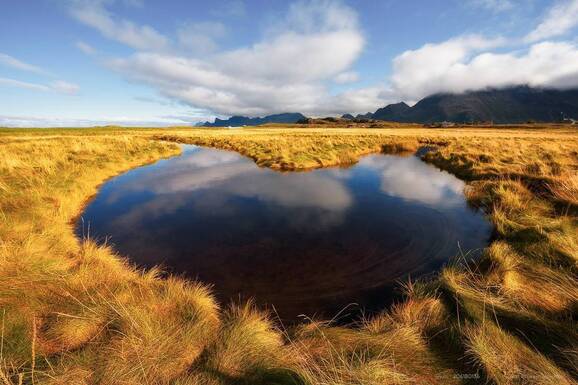 voyage photo lofoten automne 206180136