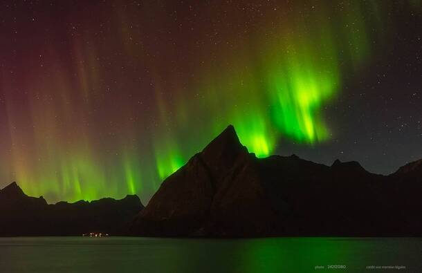 voyage photo lofoten automne 242121380