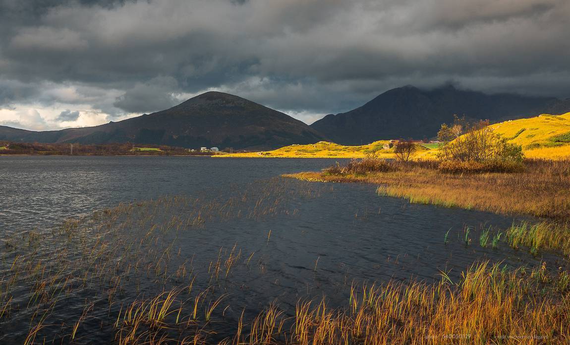 voyage photo lofoten automne 540050329 galerie 44