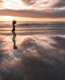 voyage photo lofoten soleil minuit