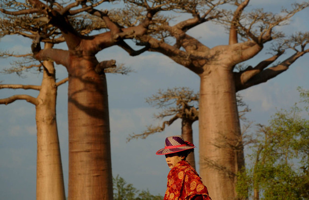 voyage photo mada remi pinaton ori 18