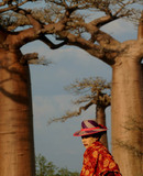 voyage photo mada remi pinaton ori