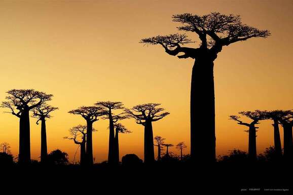 voyage photo madagascar as 113549137