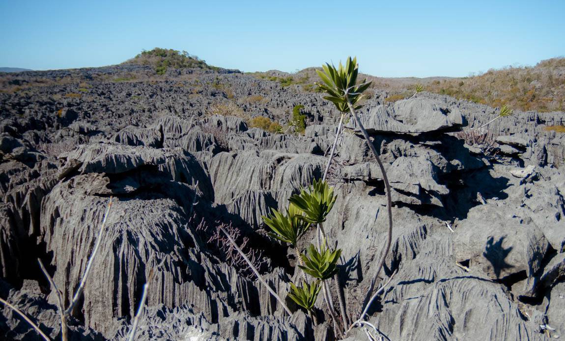 voyage photo madagascar gael cloarec galerie 40