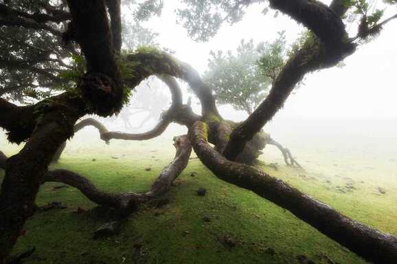 voyage photo madere stanley marie