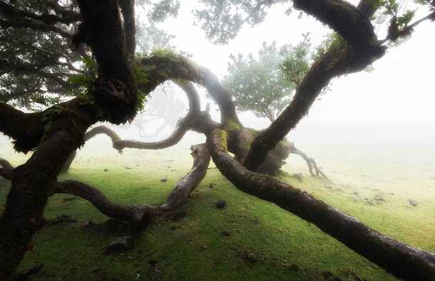 voyage photo madere stanley marie