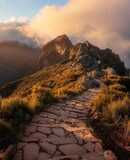 voyage photo madere stanley marie