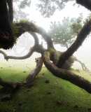 voyage photo madere stanley marie gen