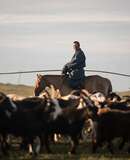 voyage photo mongolie pauline tezier