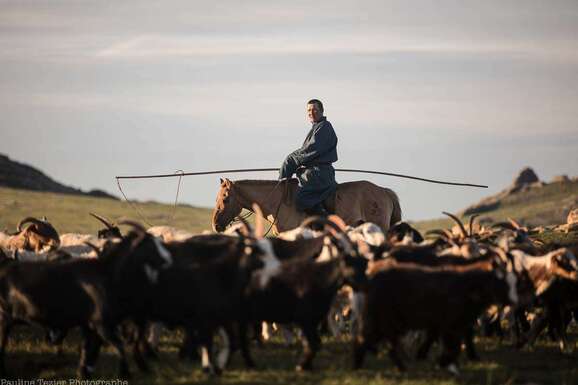 voyage photo mongolie pauline tezier