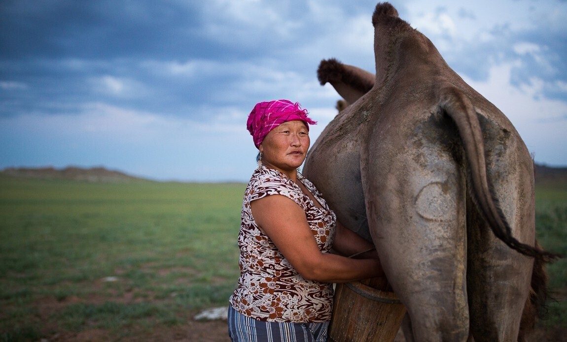 voyage photo mongolie pauline tezier galerie 20