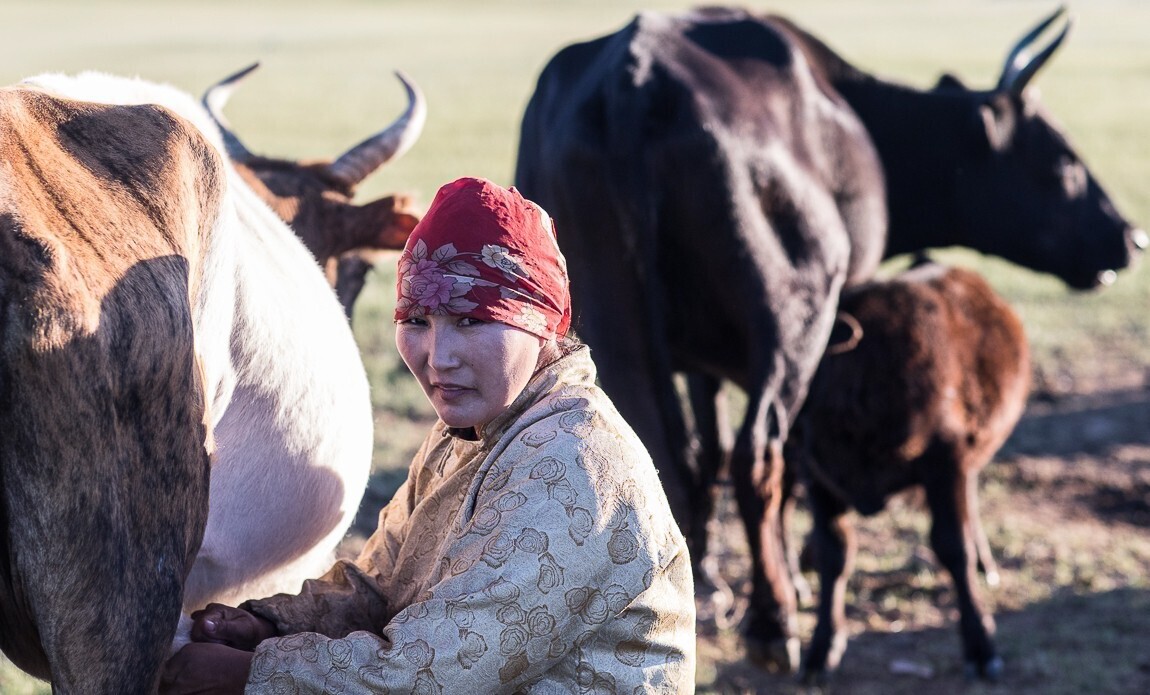 voyage photo mongolie pauline tezier galerie 31