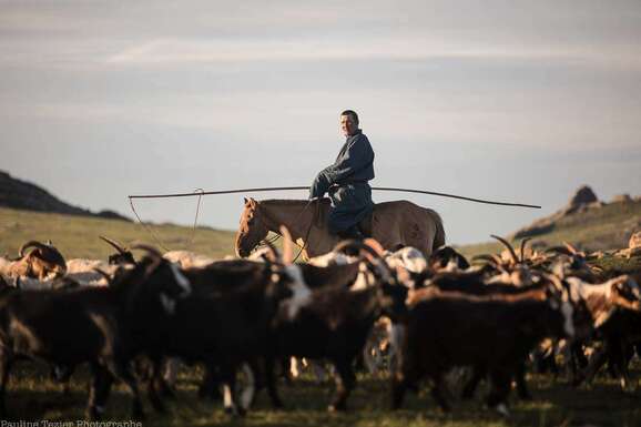 voyage photo mongolie pauline tezier promo 31