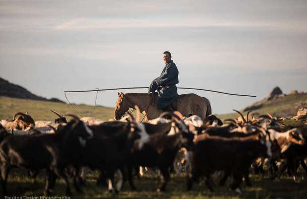 voyage photo mongolie pauline tezier promo 31