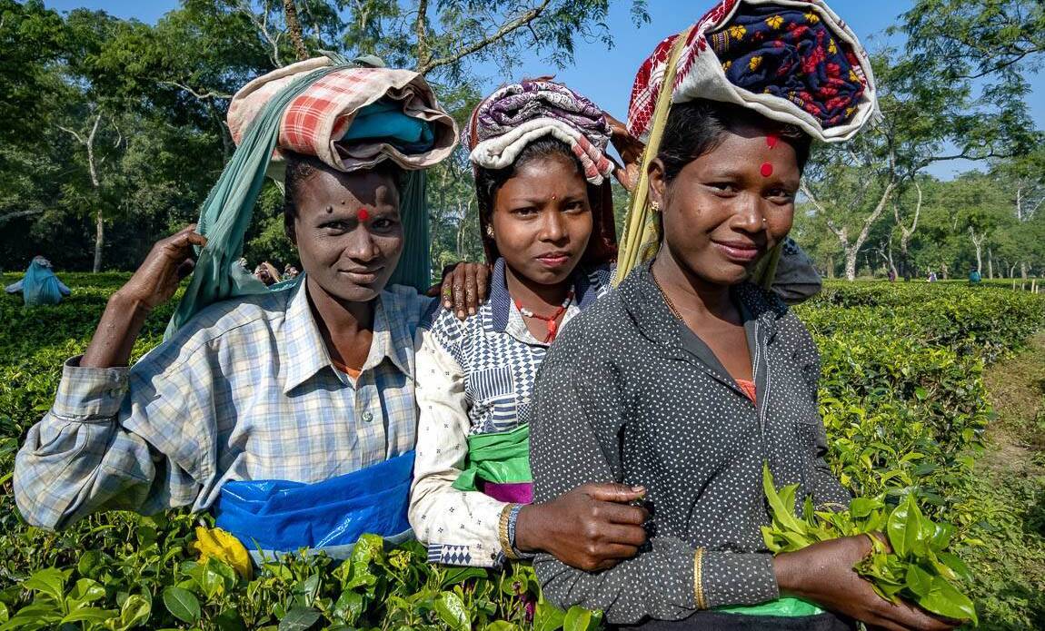 voyage photo nagaland patrick frilet promo 140