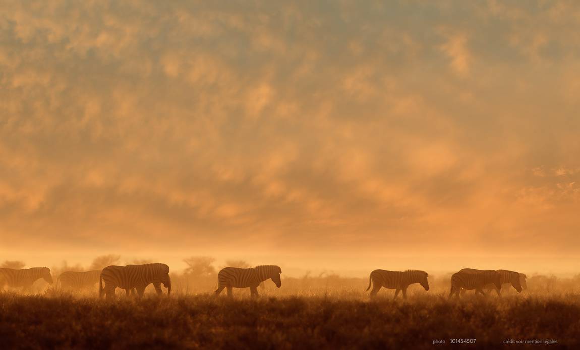 voyage photo namibie centre 101454507 galerie 11