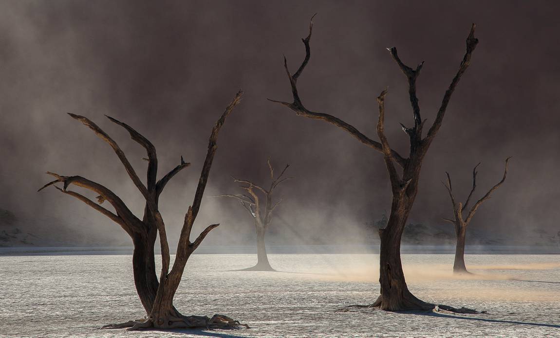 voyage photo namibie centre 126197858 galerie 14