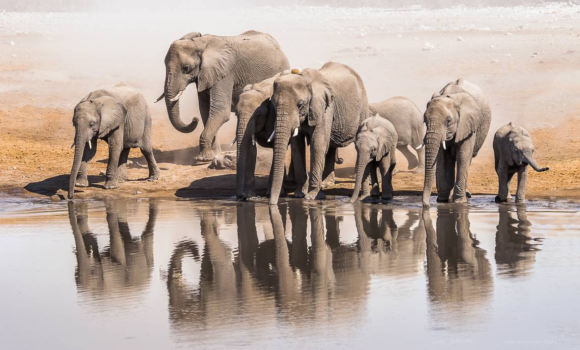 voyage photo namibie centre 139939761 galerie 15
