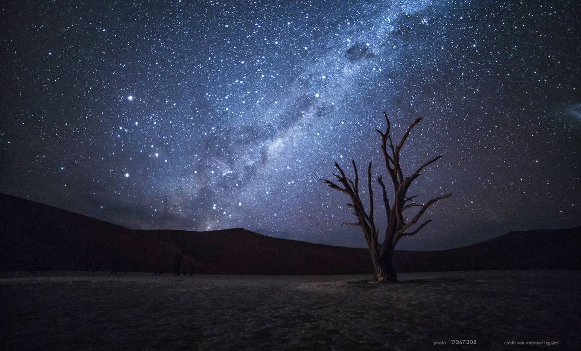 voyage photo namibie centre 170671208 galerie 17