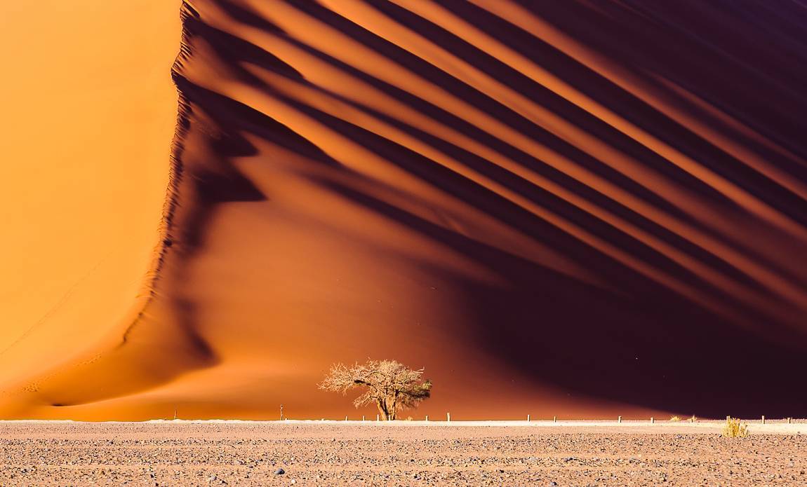 voyage photo namibie centre 282514868 galerie 35