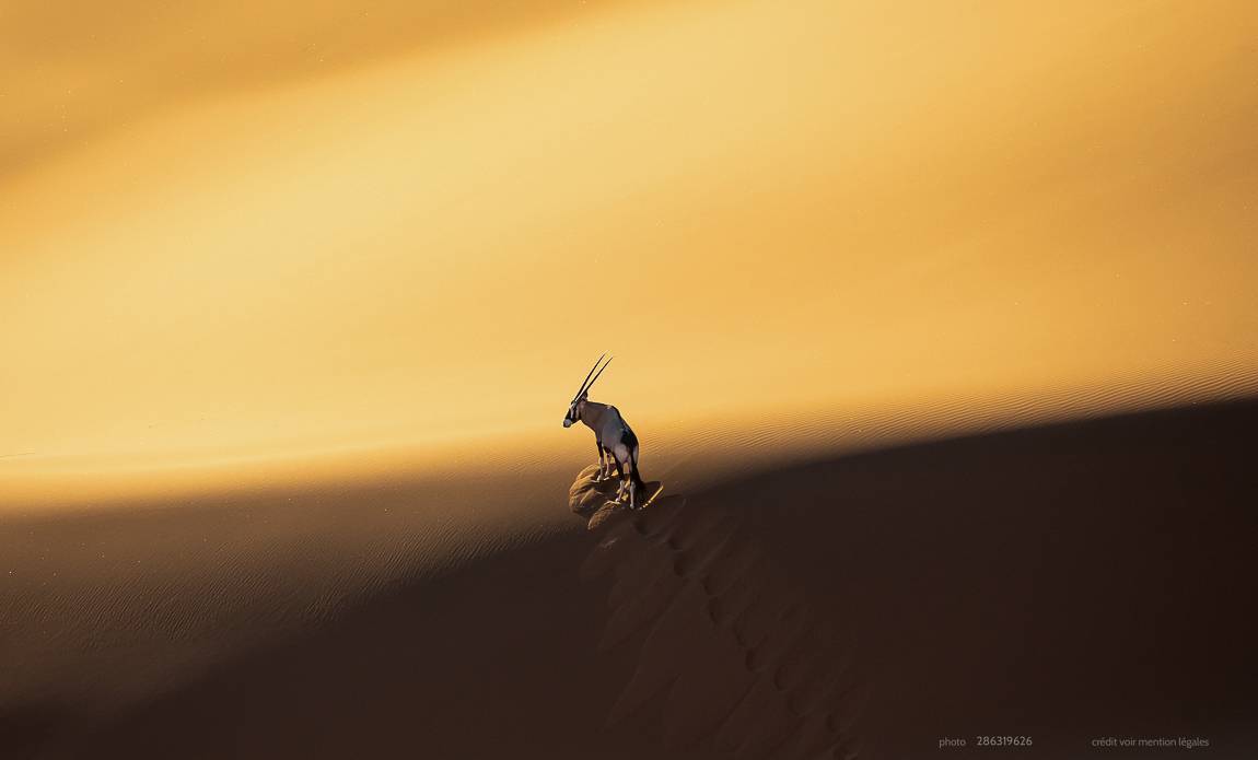 voyage photo namibie centre 286319626 galerie 38