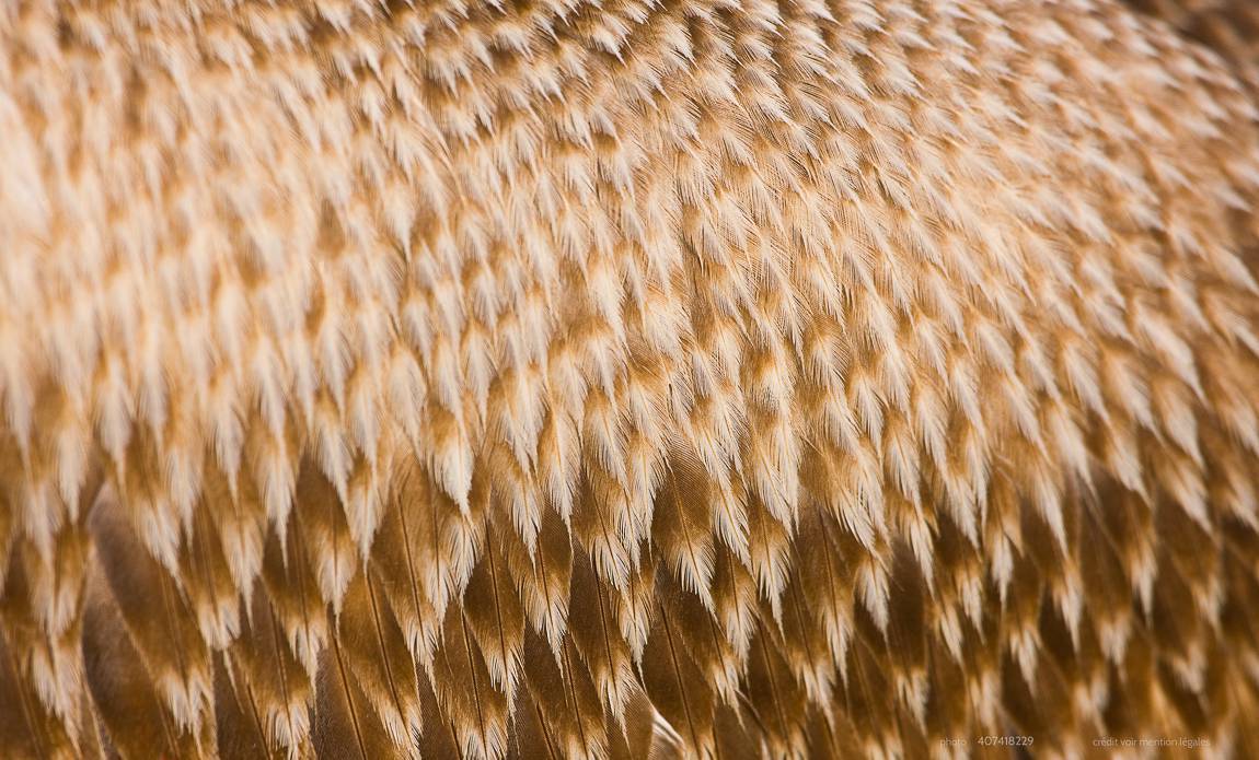 voyage photo namibie centre 407418229 galerie 51